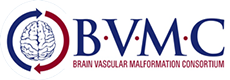 BVMC_Logo