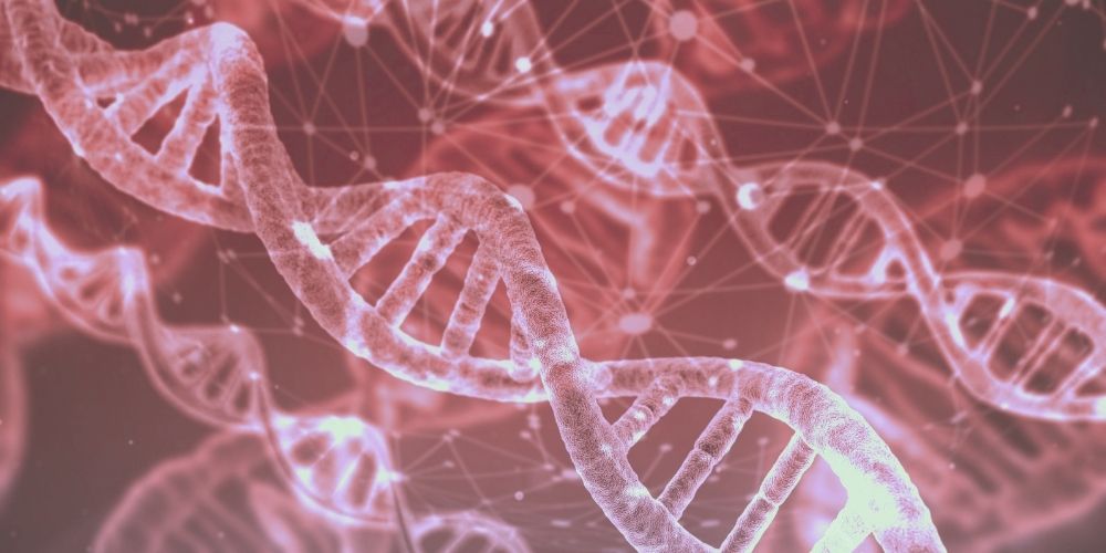 A stock image of DNA Strands