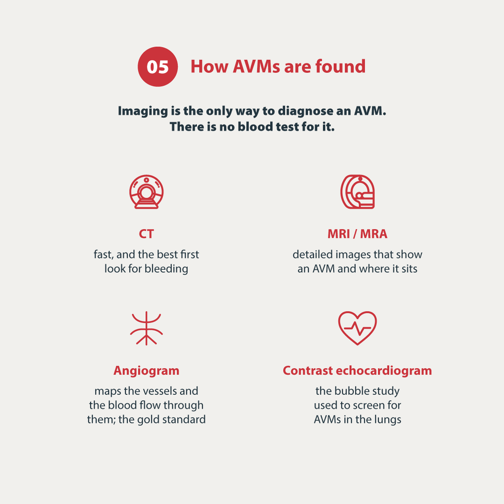 How AVMs are found
Imaging is the only way to diagnose an AVM. There is no blood test for it.
CT
fast, and the best rst look for bleeding
MRI / MRA
detailed images that show an AVM and where it sits
Angiogram
maps the vessels and the blood ow through them; the gold standard
Contrast echocardiogram
the bubble study used to screen for AVMs in the lungs